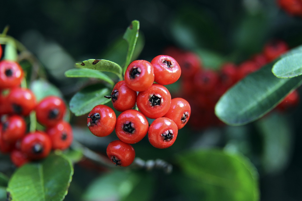 西甲前瞻：莱万特主场一颓到底，毕尔巴鄂遭遇伤停打击