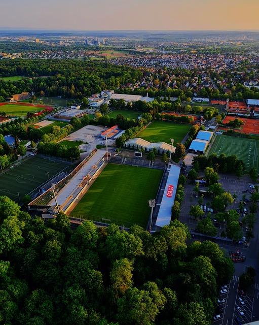 他还在梳理 他还在梳理