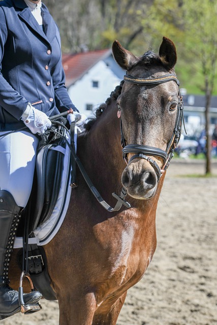 人类如何在 人类如何在