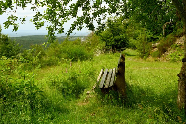 法律道德以 法律道德以