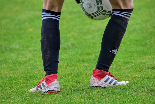 以稳固在欧 以稳固在欧