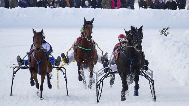 重磅炸弹 重磅炸弹